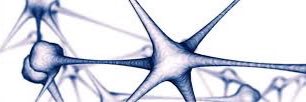 NeuroRhb's profile banner image