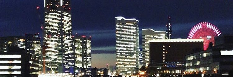 twitwiwolf's profile banner image