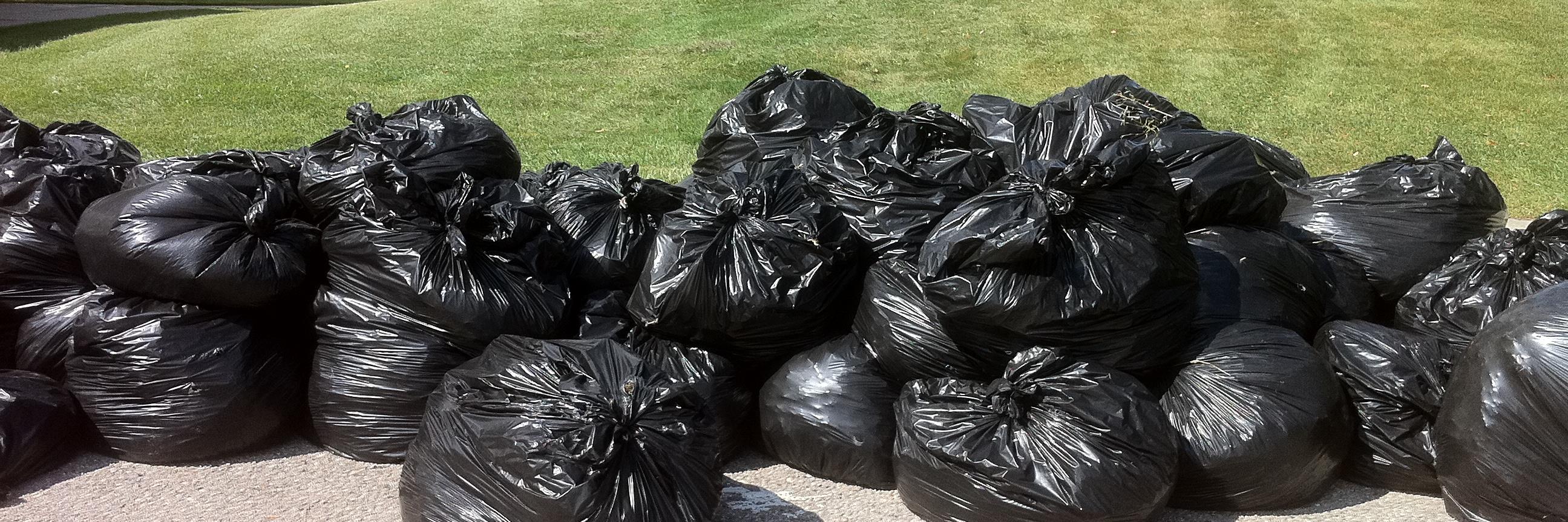 notrashallowed's profile banner image