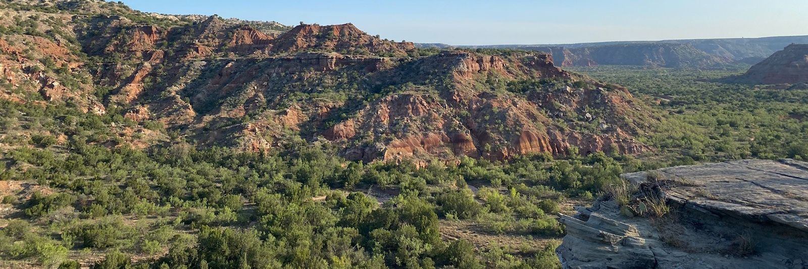 Kimberly Dill banner