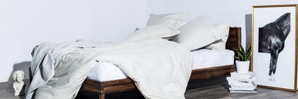 snowehome Profile Banner