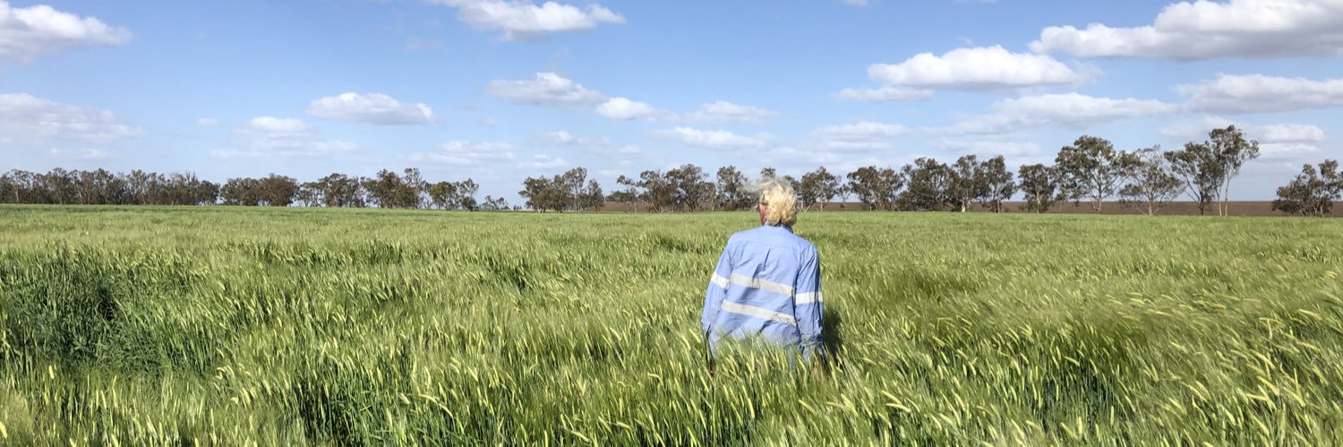 Zena Ronnfeldt banner
