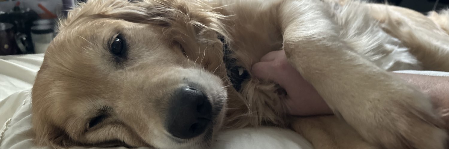 emskatewood's profile banner image
