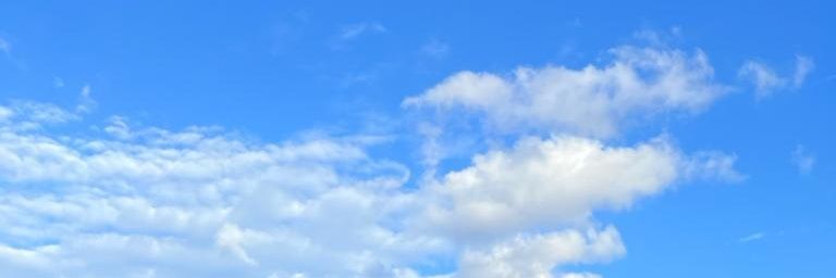 Marco Pedersoli banner