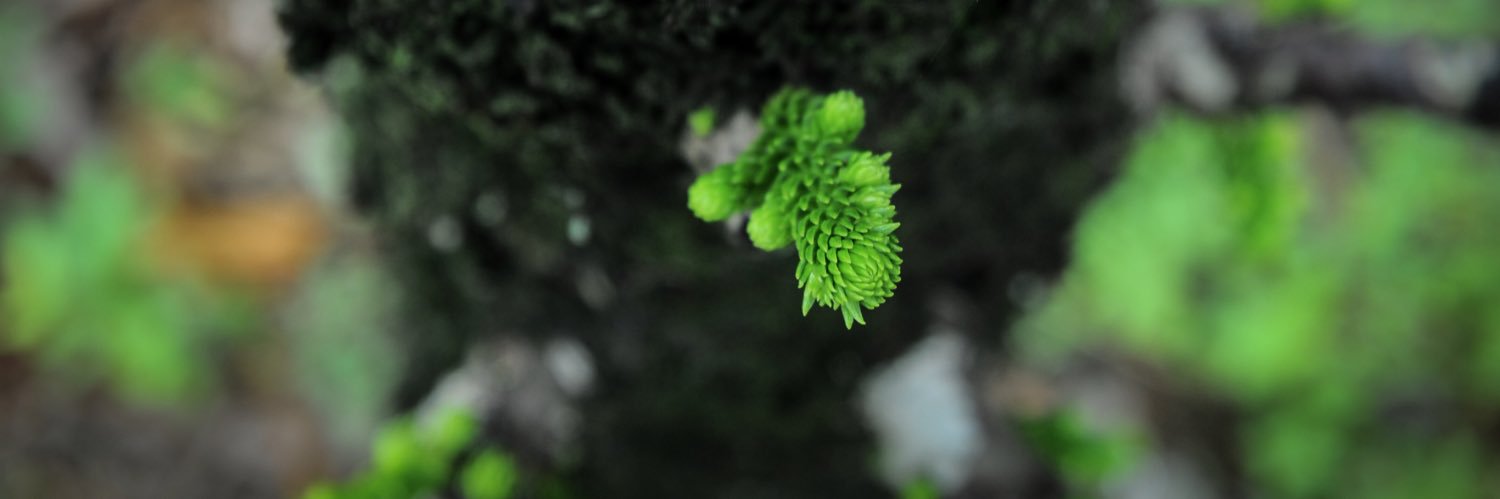 josephsondn's profile banner image