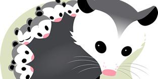 tlacuachita X0X0 banner