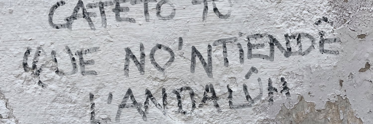 anasstasiasc's profile banner image