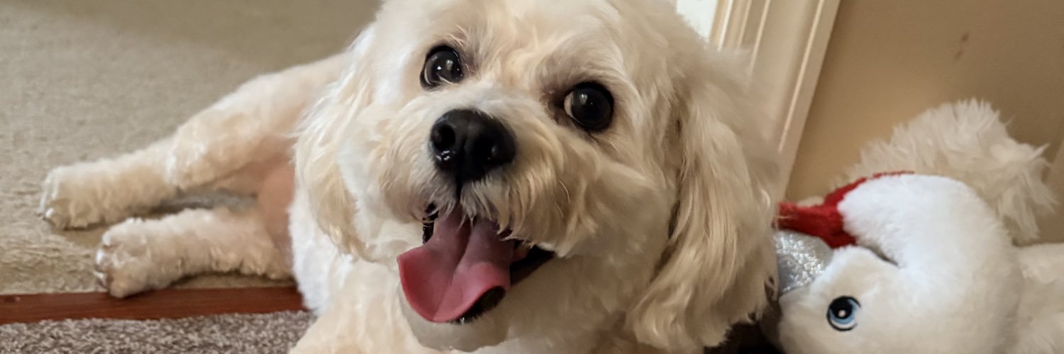DaveeUhh's profile banner image