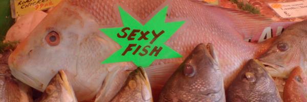 PoissonPounding's profile banner image