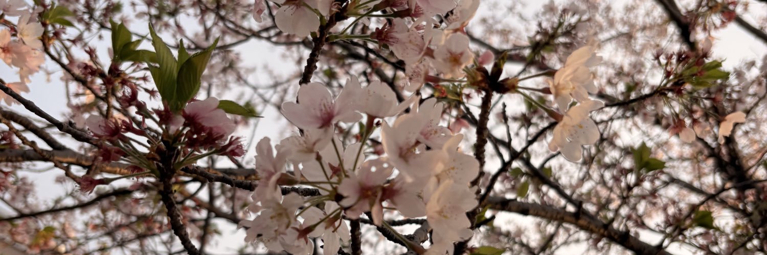 Haru__FB's profile banner image