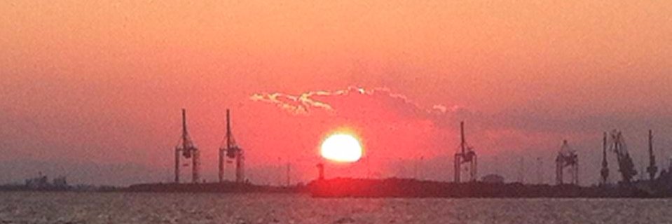 Francisco Madrid-Gambin banner