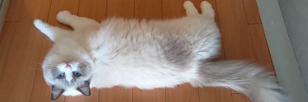 Seagal_eRO Profile Banner