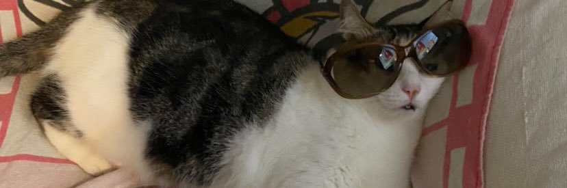 allanfernandsm's profile banner image
