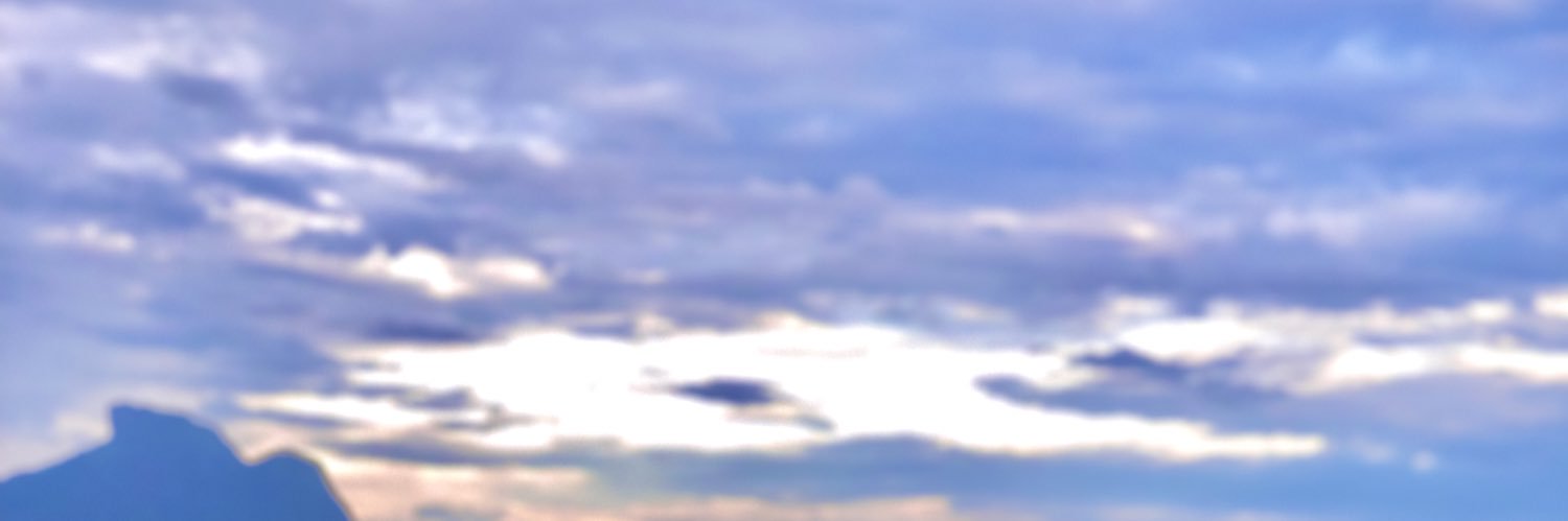 chrislaynesil's profile banner image