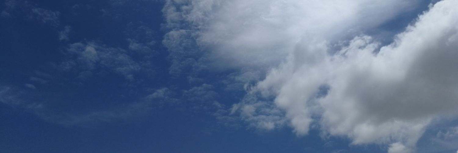 Yellow girl banner
