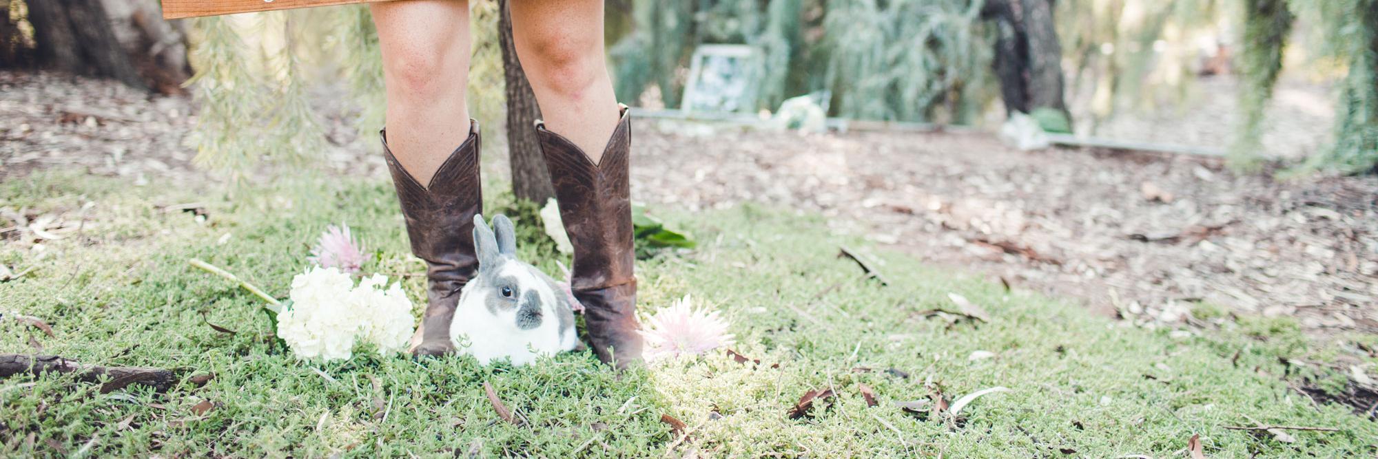 Dixie on Dallas (@dixieondallas) / Posts / X