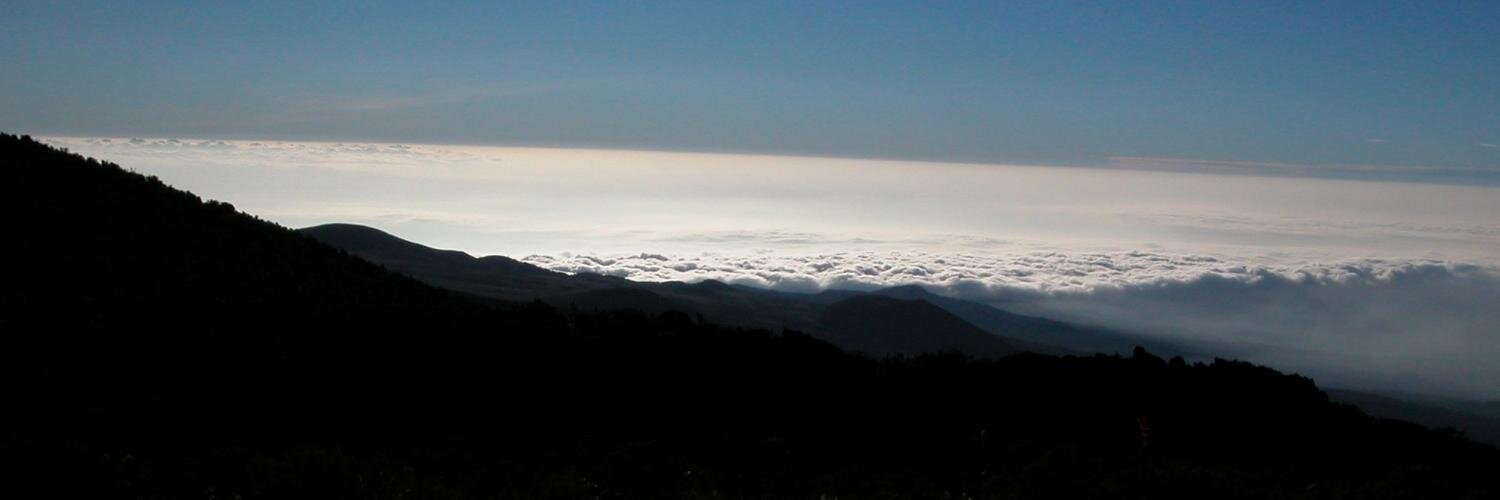 Leo Selavo banner