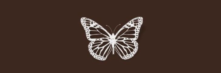 ludsostoa's profile banner image