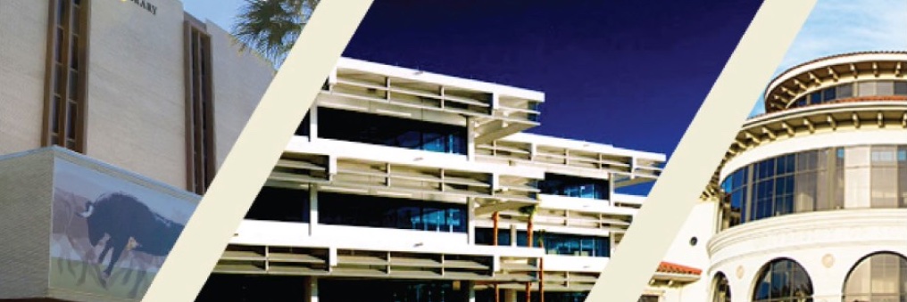 USF Libraries banner