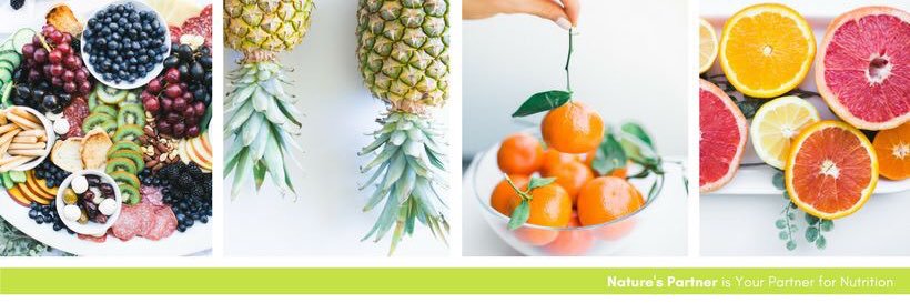 Nature's Partner banner