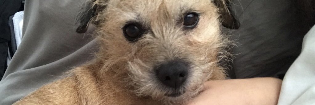 ellradcliffe's profile banner image