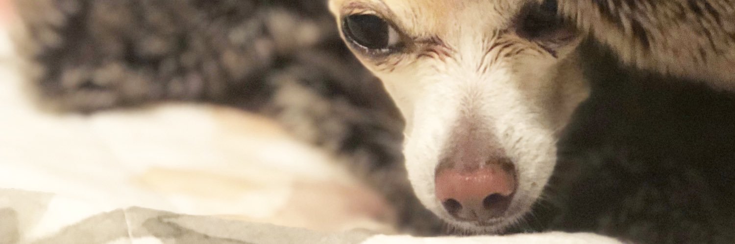 TheEdithtweets's profile banner image