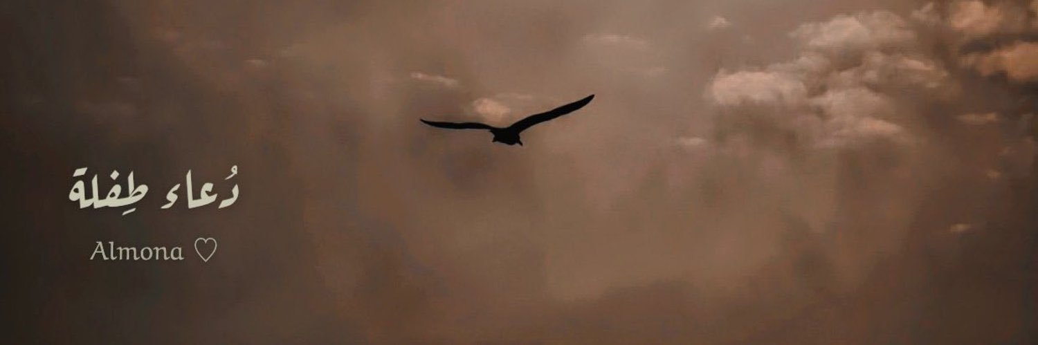 منى عبدالله🪽 banner