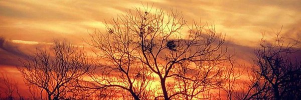 HerndonLauri Profile Banner