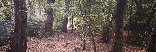 wolfpack_runner Profile Banner