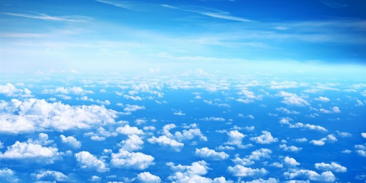 Busco Partner banner