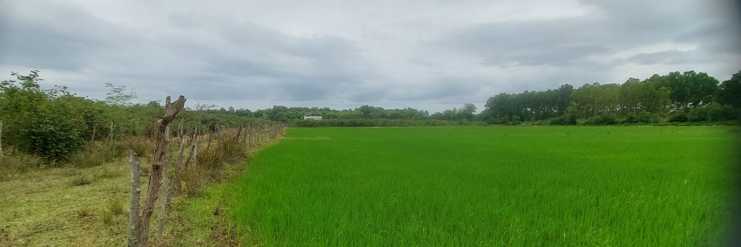 omeryakuphan's profile banner image
