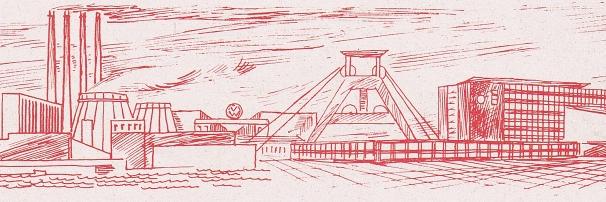 Die Linke Salzgitter banner