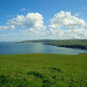 StaffordCarson banner