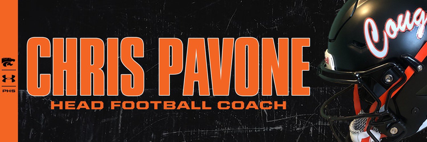 Chris Pavone banner