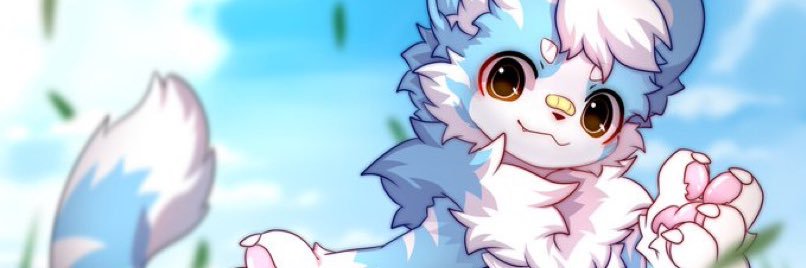 Shin banner
