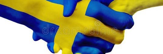 roine_viklund's profile banner image