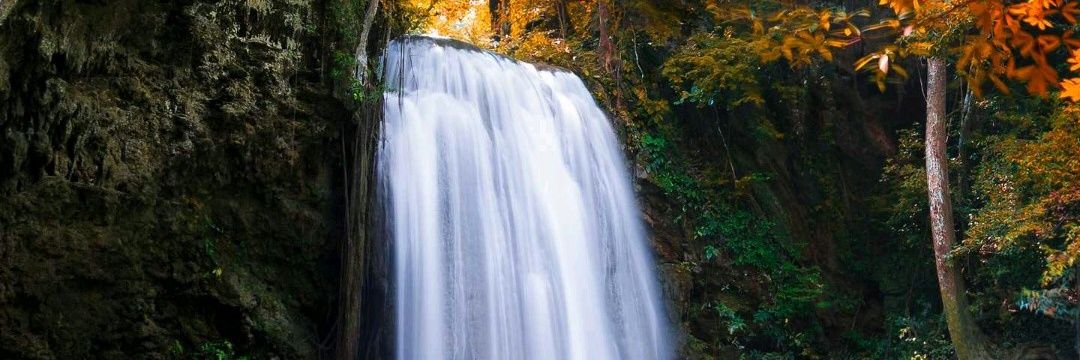 :*:*:*PAQUI•:*:*:* banner