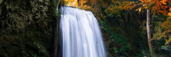 pakidari Profile Banner