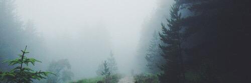 ThePackEdits's profile banner image