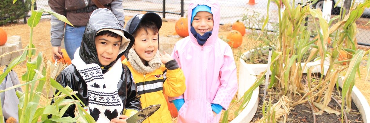 IL Farm to School banner