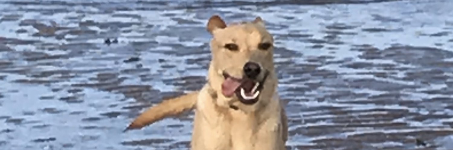 murfi75's profile banner image