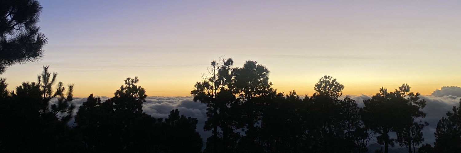 mayragalland's profile banner image