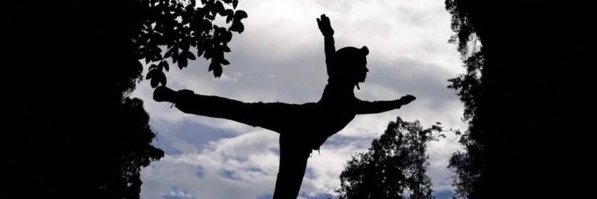 letsflymariposa's profile banner image