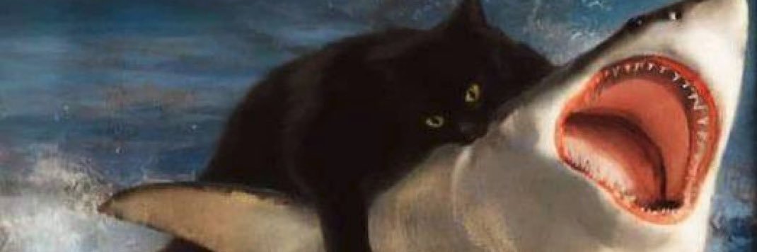 s banner