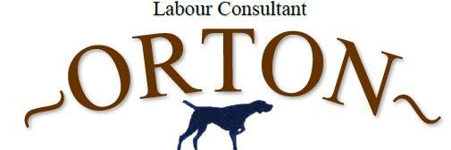 ortontoit's profile banner image