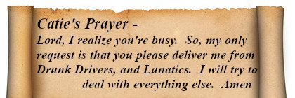 Snake Plushkitten - official WimPo fact checker banner