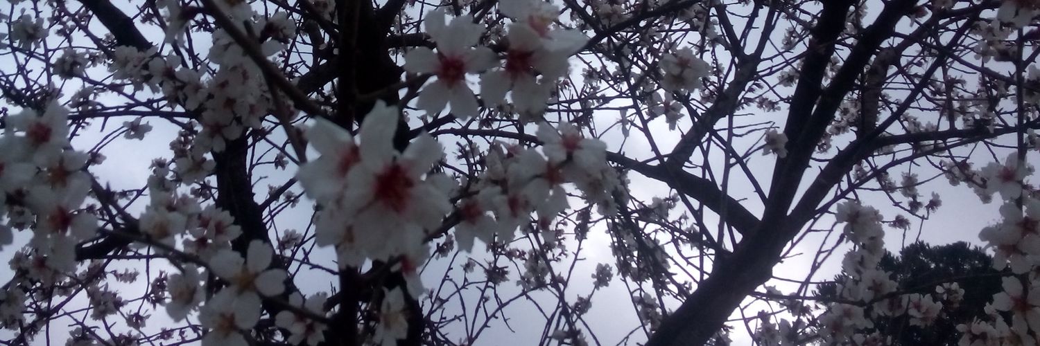nlunaal's profile banner image