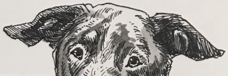 zcm726's profile banner image