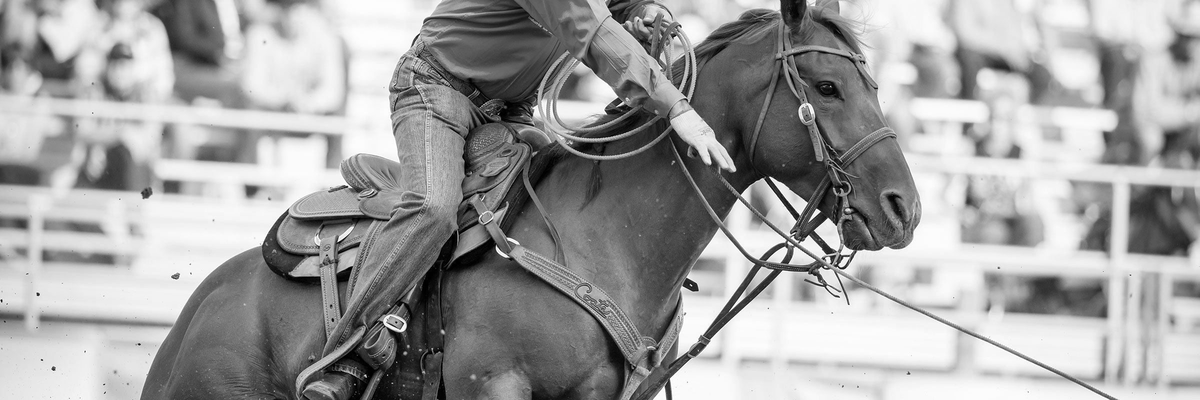 WCRARodeo's profile banner image