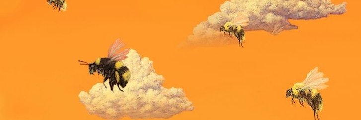 maelzitto_'s profile banner image